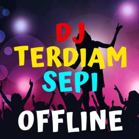 Dj Terdiam Sepi offline Nonstop Terbaru screenshot 11