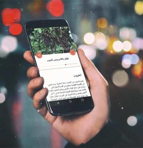 البهارات و التوابل وأنواعها بدون انترنت
‎ screenshot 5