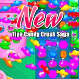 Tips Candy Crush Saga Online icon
