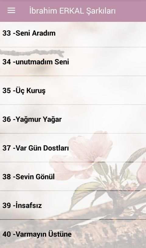 İbrahim Erkal Şarkıları İnternetsiz screenshot 4