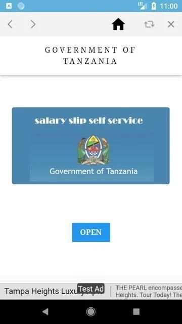 SALARY SLIP TZ screenshot 4