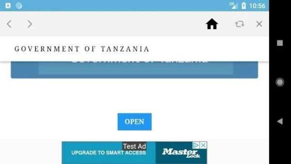 SALARY SLIP TZ screenshot 1