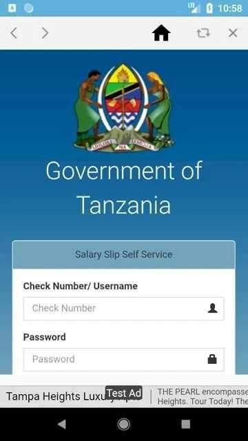 SALARY SLIP TZ screenshot 2