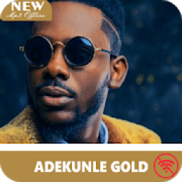 ikon Adekunle Gold All Song - No Internet
