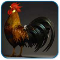 Rooster Sound Ringtones on 9Apps