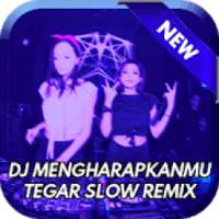 DJ Mengharapkanmu Remix MP3 on 9Apps