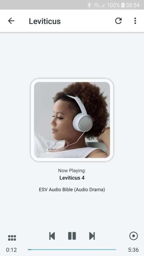 English Audio Bible - ESV स्क्रीनशॉट 18