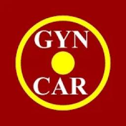 Gyncar - Motorista