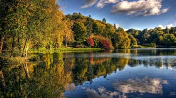 Free Download Nature Android Wallpaper скриншот 6