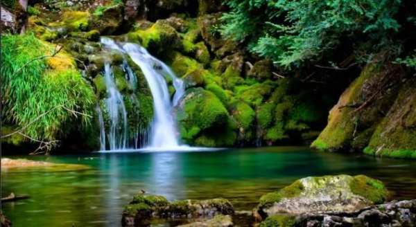 Free Download Nature Android Wallpaper скриншот 7