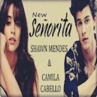 Shawn Mendes - Señorita (ft. Camila Cabello) on 9Apps