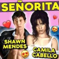 Senorita Song with Lyrics Shawn Mendes Offline on 9Apps