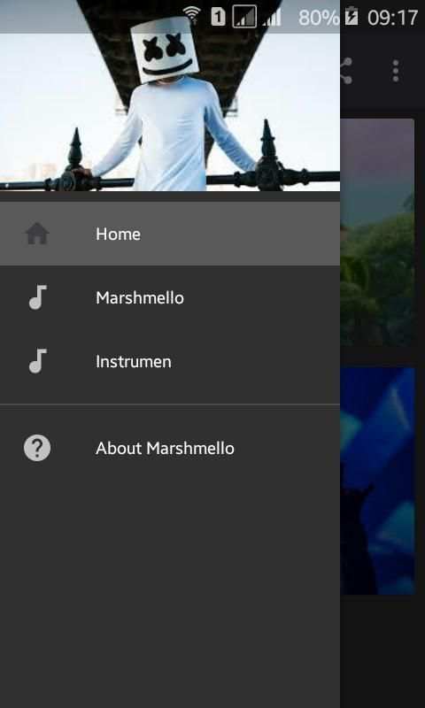 Marshmello Offline screenshot 5