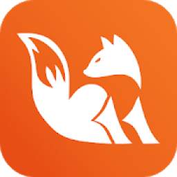 Fox Browser 1.0
