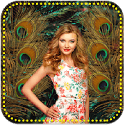ikon Peacock Feathers Photo Frames HD