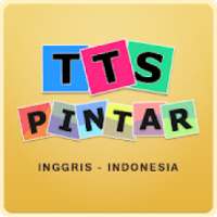 TTS Pintar Bahasa Inggris Indonesia - TTS Offline
