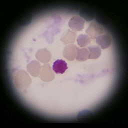 Test Histología icon