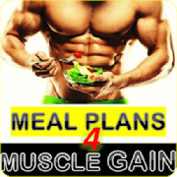 ikon Meal Planner For Muscle Gain