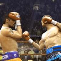Real Punch Boxing : 3D Fighting Champions