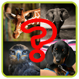 Adivina a los animales icon