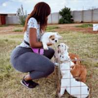 Trending Videos - South Africa Social