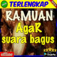 Ramuan Agar Suara Bagus