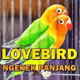 Suara Lovebird Ngekek Panjang MP3 Offline icon
