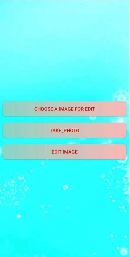 fine camera screenshot 2