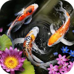 Lively Koi Launcher - HD Live Wallpapers, Themes