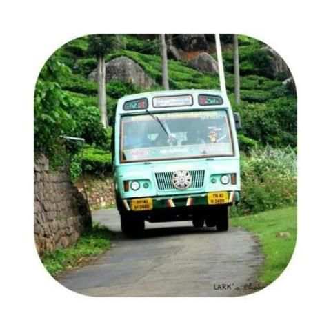 En Bus - TNSTC Bus Timings स्क्रीनशॉट 2