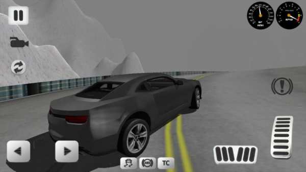 Sport Car Simulator screenshot 15