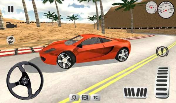 Sport Car Simulator screenshot 4