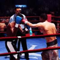 Superstars Punch Boxing 3D Fighting BodyBuilders