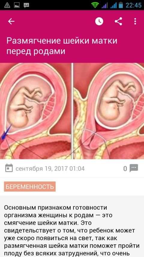 Планирование беременности screenshot 11