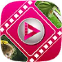 Easy Photo To Video Maker on 9Apps