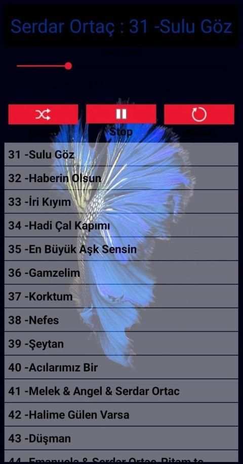 Serdar Ortaç Müzikleri internetsiz screenshot 5