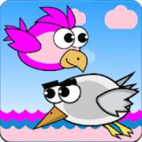 Bird Pink VS Gulls
