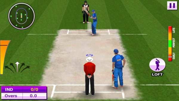 T20 Cricket Games 2019 3D स्क्रीनशॉट 7