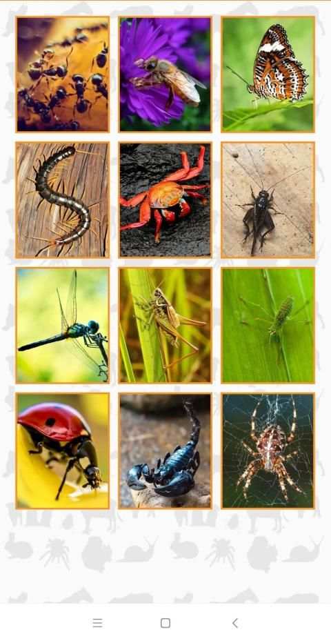 Animal Puzzle Game screenshot 4