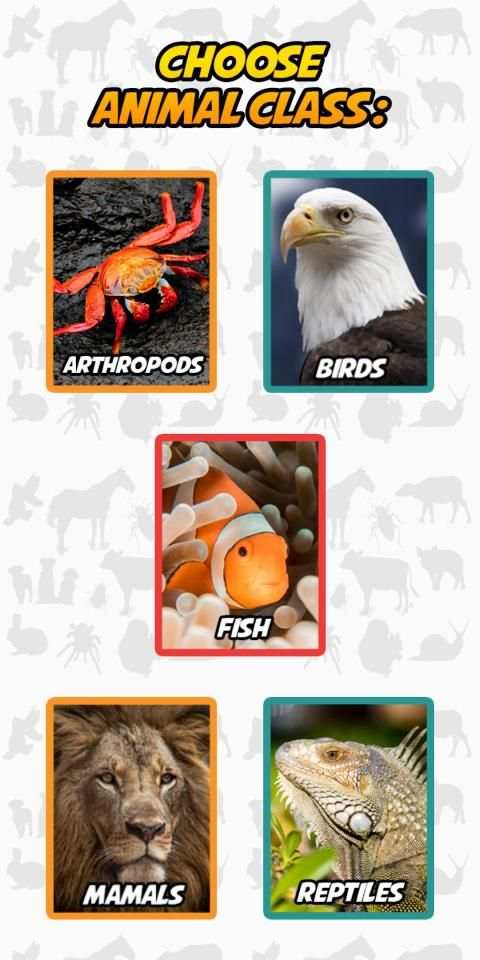 Animal Puzzle Game screenshot 5