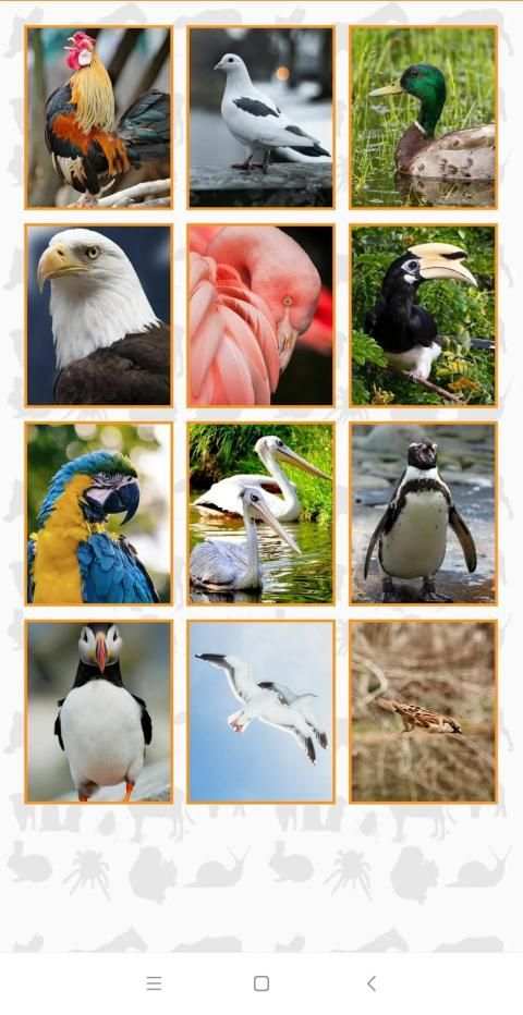 Animal Puzzle Game screenshot 3