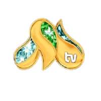 Milliy TV UZBEKISTAN