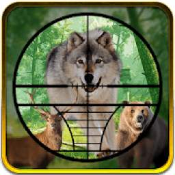 Hunting Jungle Animals: Animal Shooting Games