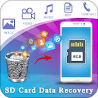 SD Card Data Recovery