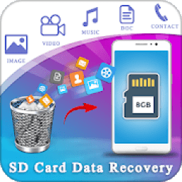 ikon SD Card Data Recovery
