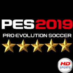 ikon PES 2020 PRO Guide