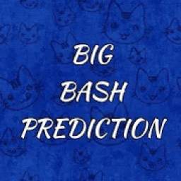 Big Bash Prediction