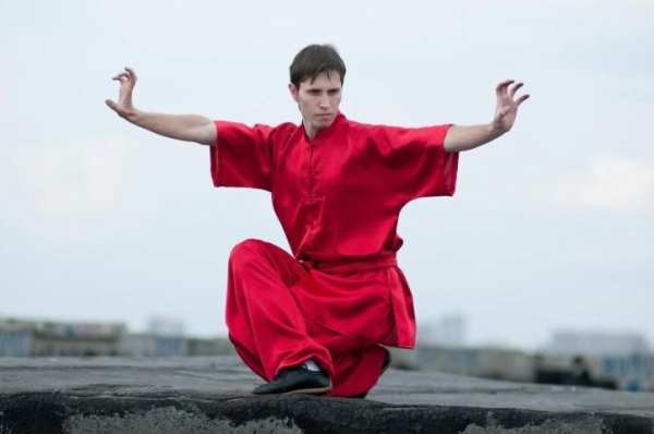 Learn Kung Fu Training 2019 screenshot 8