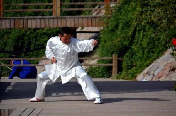 Learn Kung Fu Training 2019 screenshot 4