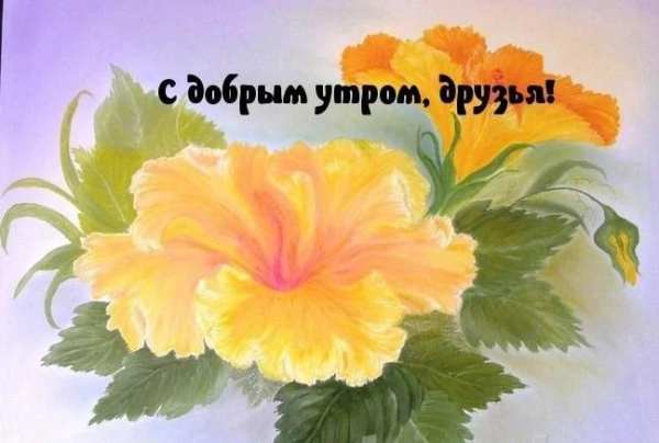 С Добрым Утром Друзья Открытки screenshot 1